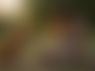 L’âme animale : quand la connexion dépasse les mots