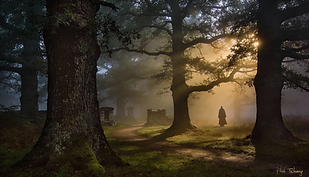 Brocéliande, Bardenas Reales… Explorez les Lieux Magiques qui Transforment