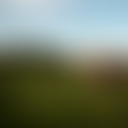 Les différences entre le fromage au lait cru et le fromage pasteurisé: Qu'est-ce qui les distingue?