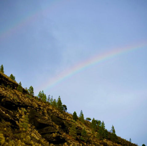 WhatsApp Image 2021-11-05 at 19.01.15.jpeg