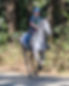 _SSP6447_edited.jpg