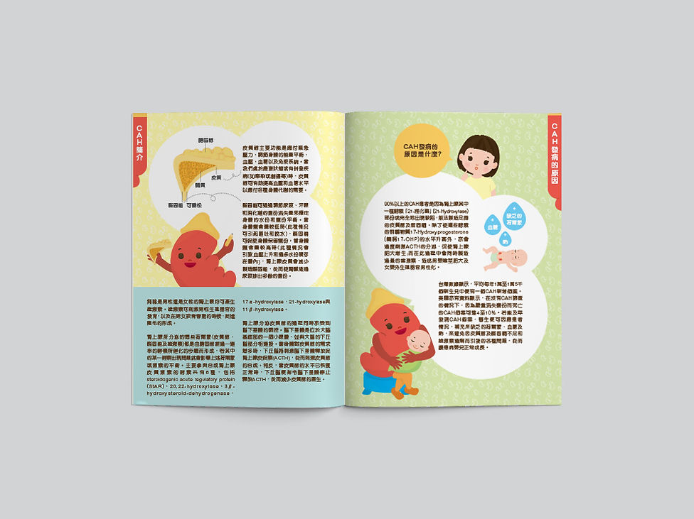 HKSPEM_CAH_bklet2.jpg