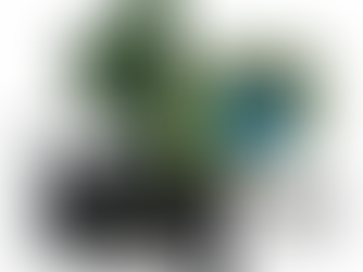 O equipamento que enxerga o invisível: como o TinySA Ultra revela interferências, enlaces e falhas de RF