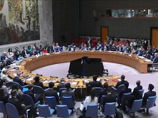 UNSC Extends Gang Suppression Force Mandate For 6 Months