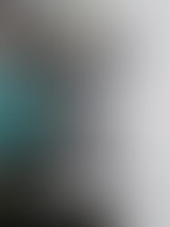 De Franse Confectie: Gerard Darel