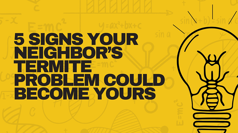 5 Signs Your Neighbor's Termite Problem Could Become Yours