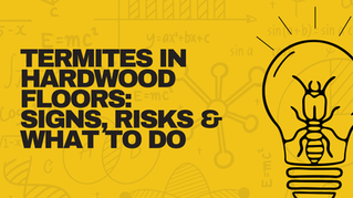 Termites in Hardwood Floors: Signs, Risks & What to Do