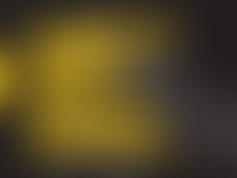 Bold yellow text on a black background stating 5 common home repairs that attract termites and how to avoid them