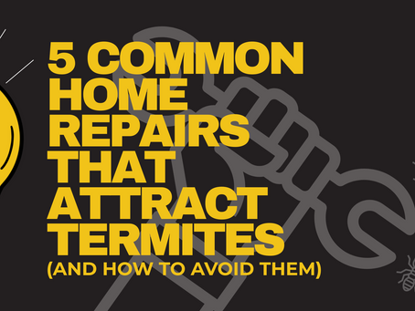 Bold yellow text on a black background stating 5 common home repairs that attract termites and how to avoid them