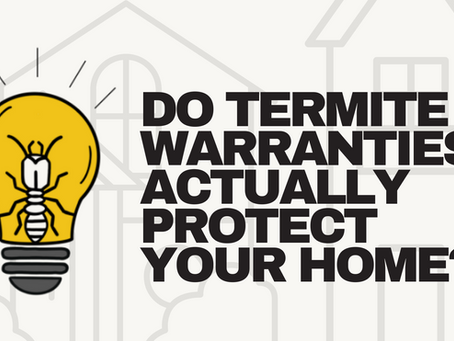 A white background with a faded illustration of a neighborhood overlayed with bold black text stating "Do termite warranties actually protect your home?" and the Good Sense Termite Lightbulb Logo