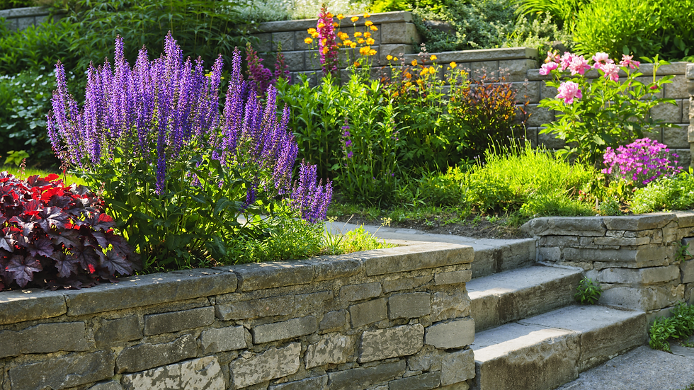 Lush garden with vibrant purple, pink, and yellow flowers. Stone wall and steps lead through the greenery. Bright, sunny ambiance.