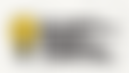 Why Termite Problems Often Start in Bathrooms, Kitchens, and Laundry Rooms