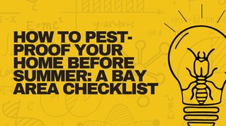 How to Pest-Proof Your Home Before Summer: A Bay Area Checklist