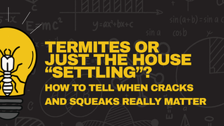 Termites Or “Just Settling”? How To Tell When Cracks And Squeaks Really Matter