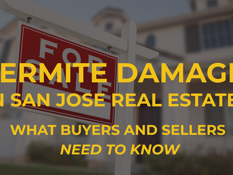 Termite Damage in San Jose Real Estate: What Buyers and Sellers Need to Know