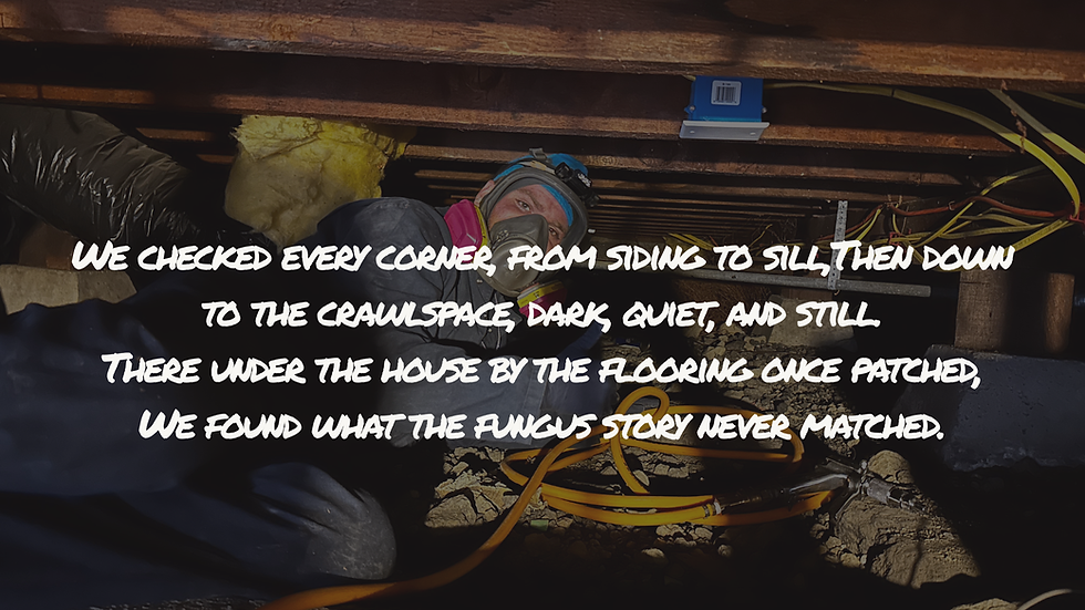 Person in protective gear under a house in a dim crawlspace. Yellow cables are visible. Text overlay discusses inspecting for fungus.