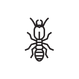 Termite Icon