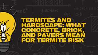 Termites and Hardscape: What Concrete, Brick, and Pavers Mean for Termite Risk