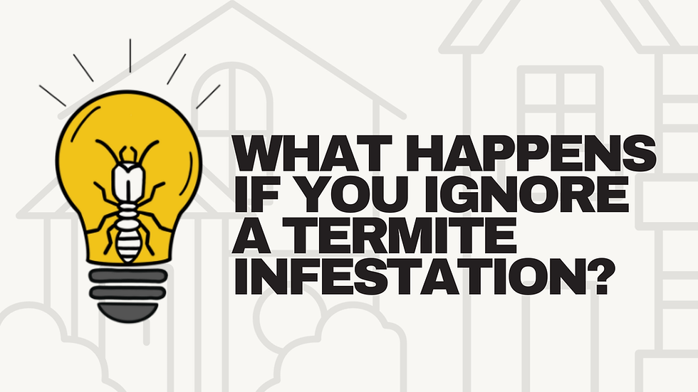 What Happens If You Ignore a Termite Infestation? A Timeline of Damage