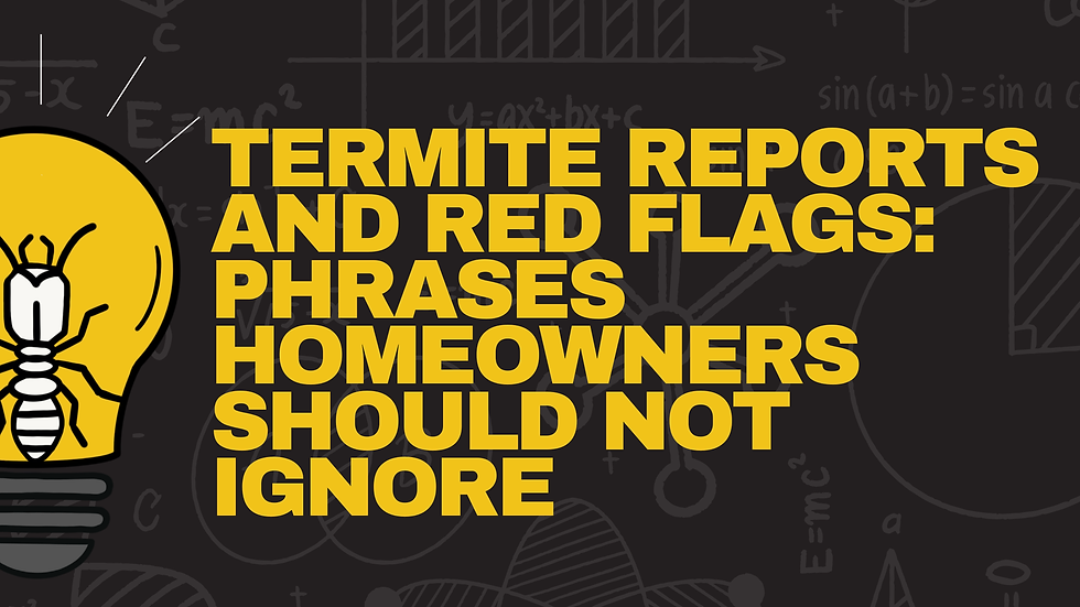 Termite Reports And Red Flags: Phrases Homeowners Should Not Ignore