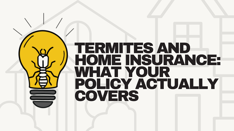 Termites and Home Insurance: What Your Policy Actually Covers