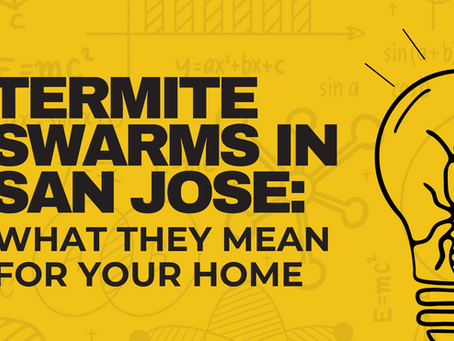 Bold black text on a yellow background stating Termite Swarms In San Jose: What They Mean For Your Home