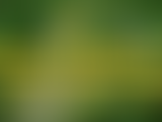 Green background with tree reflections on glass. Bold yellow text: "Eco-Friendly Termite Treatments That Actually Work." Logo of a light bulb.