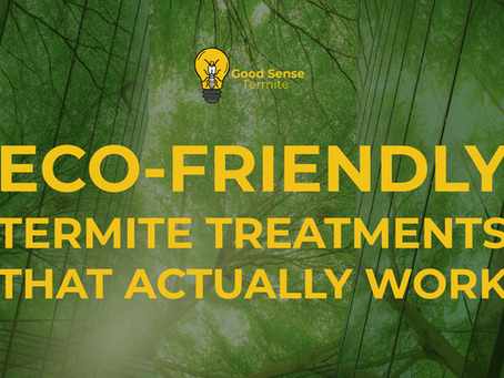 Green background with tree reflections on glass. Bold yellow text: "Eco-Friendly Termite Treatments That Actually Work." Logo of a light bulb.