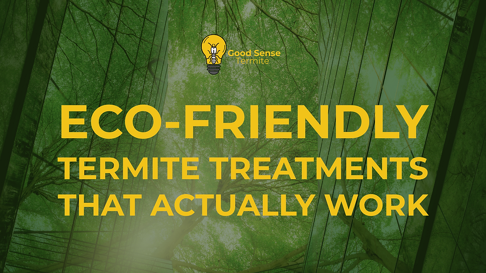 Green background with tree reflections on glass. Bold yellow text: "Eco-Friendly Termite Treatments That Actually Work." Logo of a light bulb.