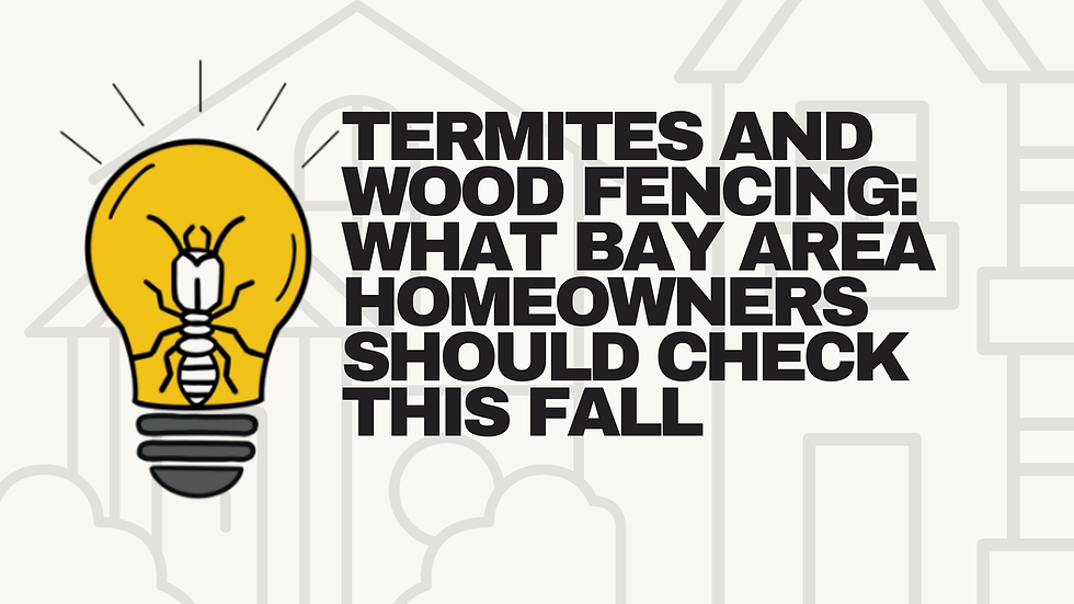 Termites and Wood Fencing: What Bay Area Homeowners Should Check This Fall