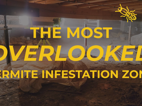 Termites in Crawl Spaces: San Jose’s Most Overlooked Infestation Zone