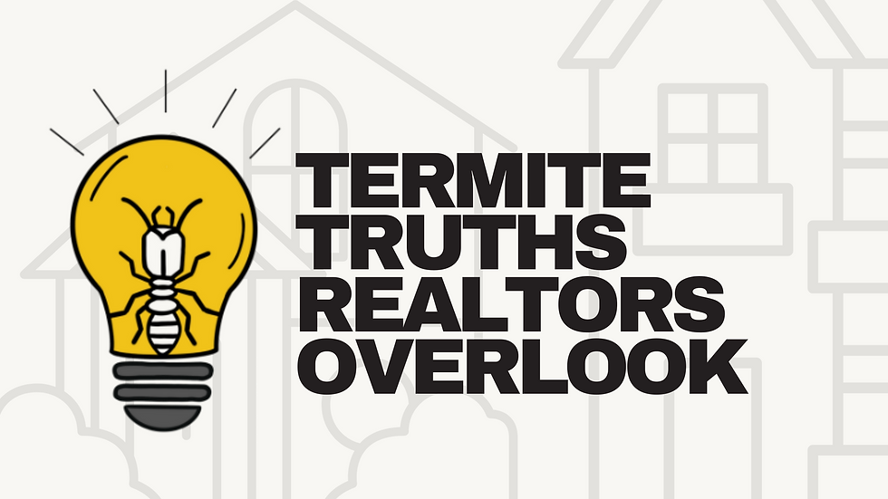 What Realtors Get Wrong About Termites (And What They Should Tell Clients)