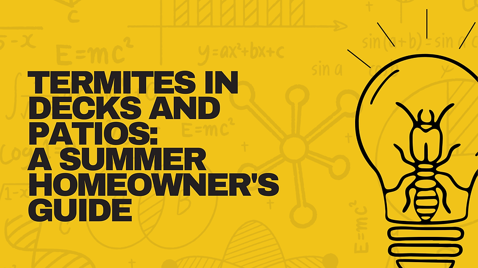 Termites in Decks and Patios: A Summer Homeowner's Guide