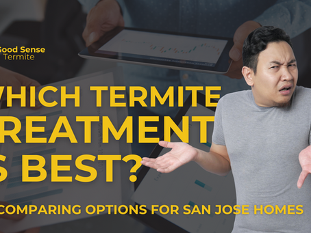 Which Termite Treatment Is Best? Comparing Options for San Jose Homes