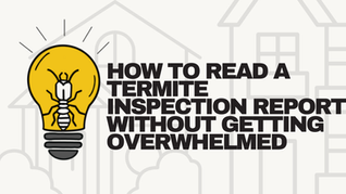 How To Read A Termite Inspection Report Without Getting Overwhelmed