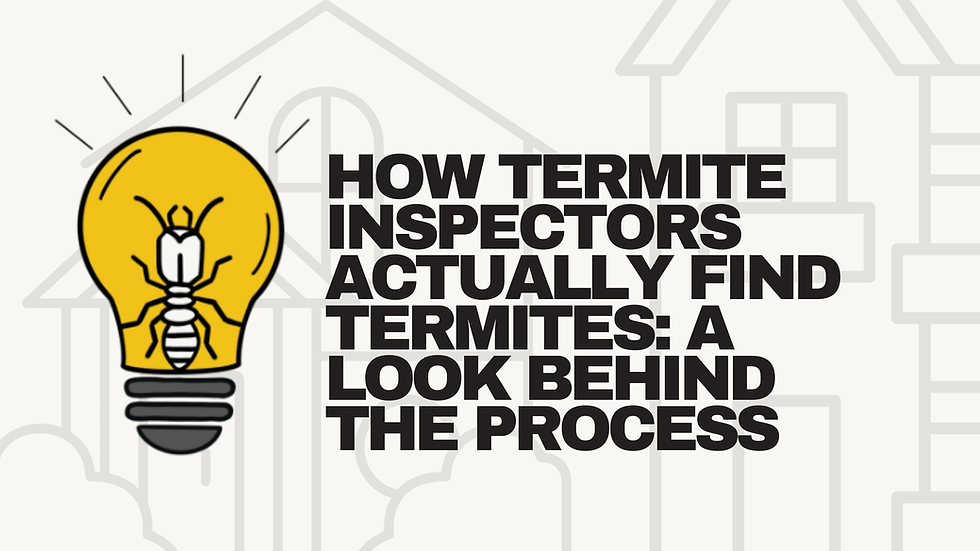 How Termite Inspectors Actually Find Termites: A Look Behind the Process