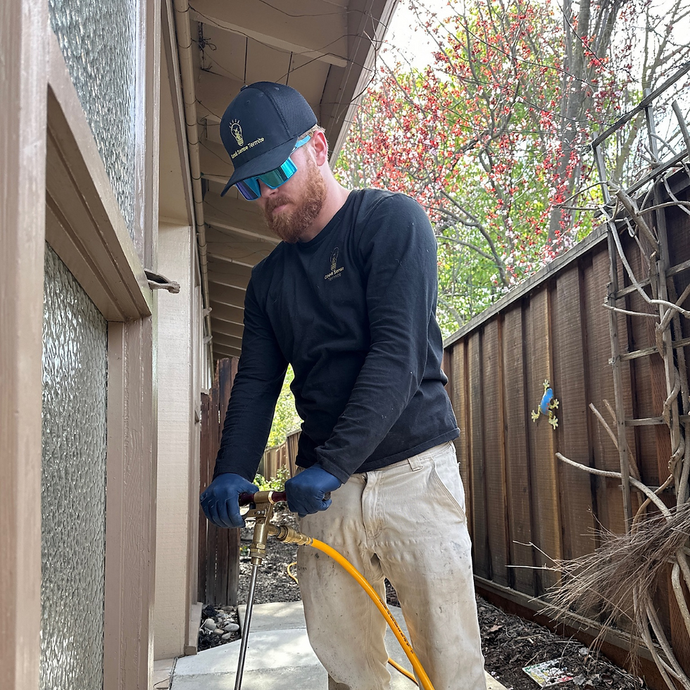 Man in black shirt and cap using hose nozzle, standing by wooden fence. Background with tree and red leaves; focused and working.