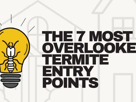 Bold text on a white background stating the seven most overlooked termite entry points next to the Good Sense Termite lightbulb logo