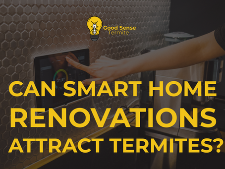 Are Tech Renovations Attracting Termites? How Smart Home Upgrades Can Backfire