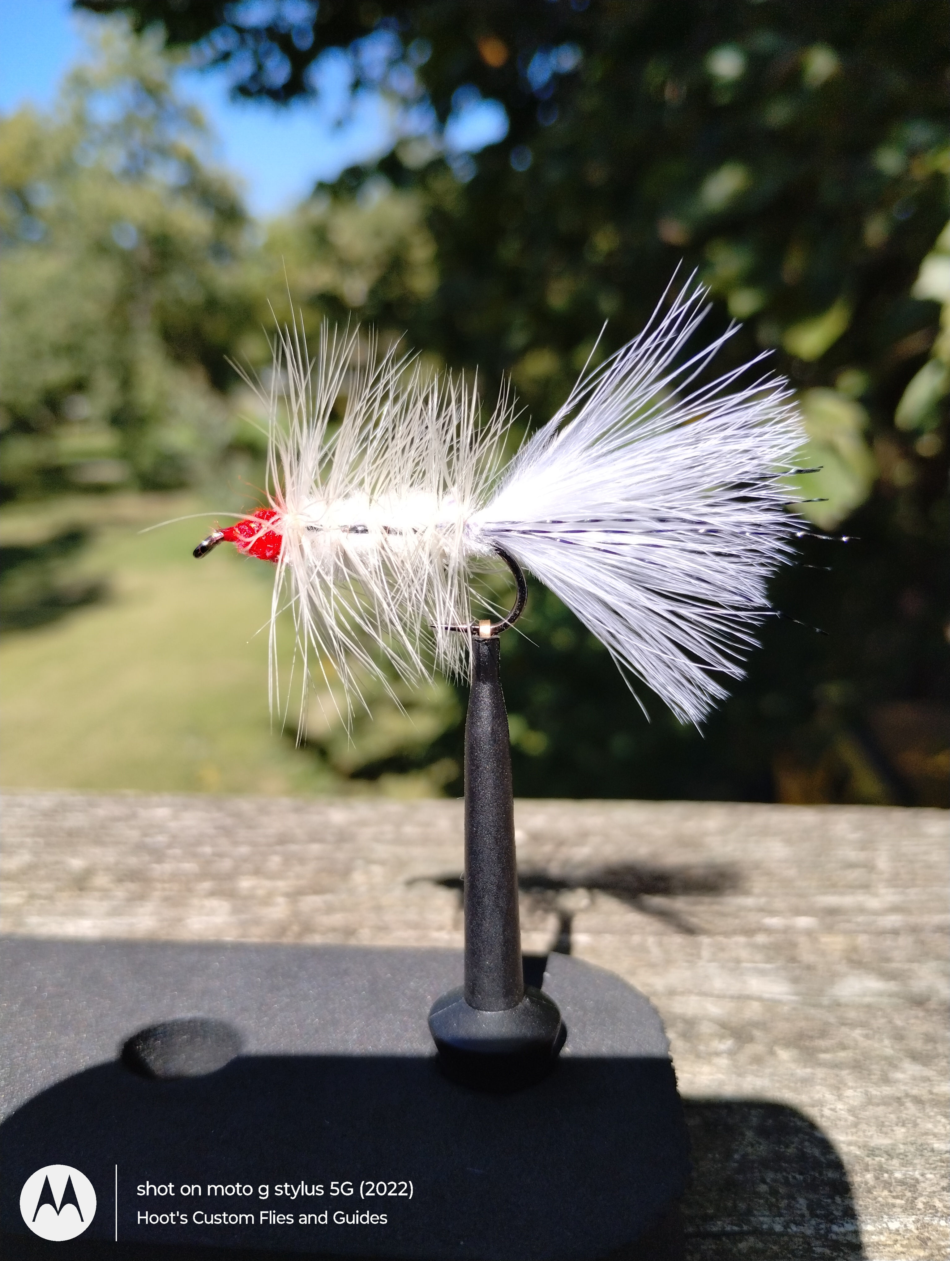 Hoot's Egg Sucker (Wholesale)