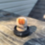 Thumbnail: Tailwaters of Beaver Dam Go To Package