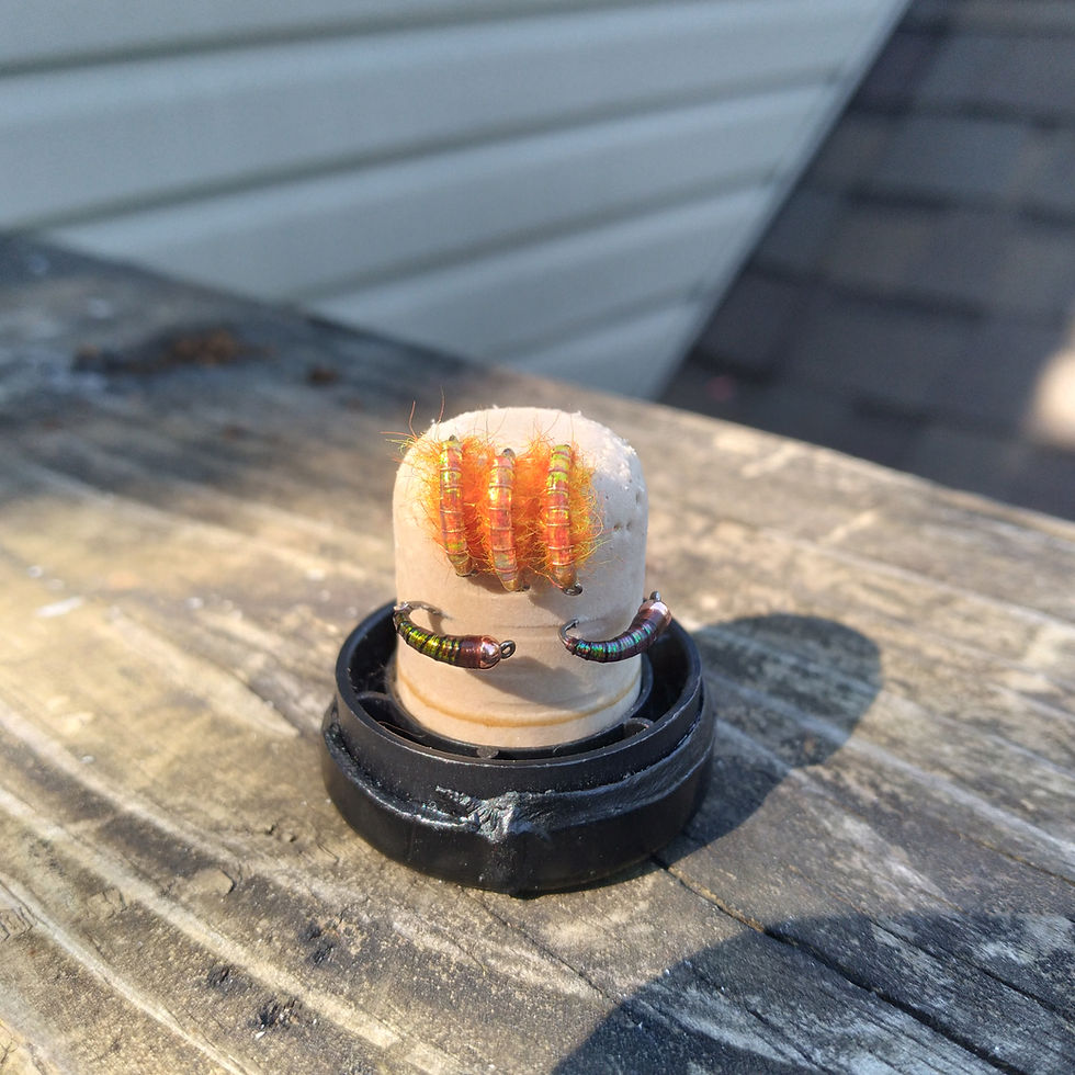Thumbnail: Tailwaters of Beaver Dam Go To Package