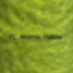 Thumbnail: Semperfli's Eggstatic (5 quantity)