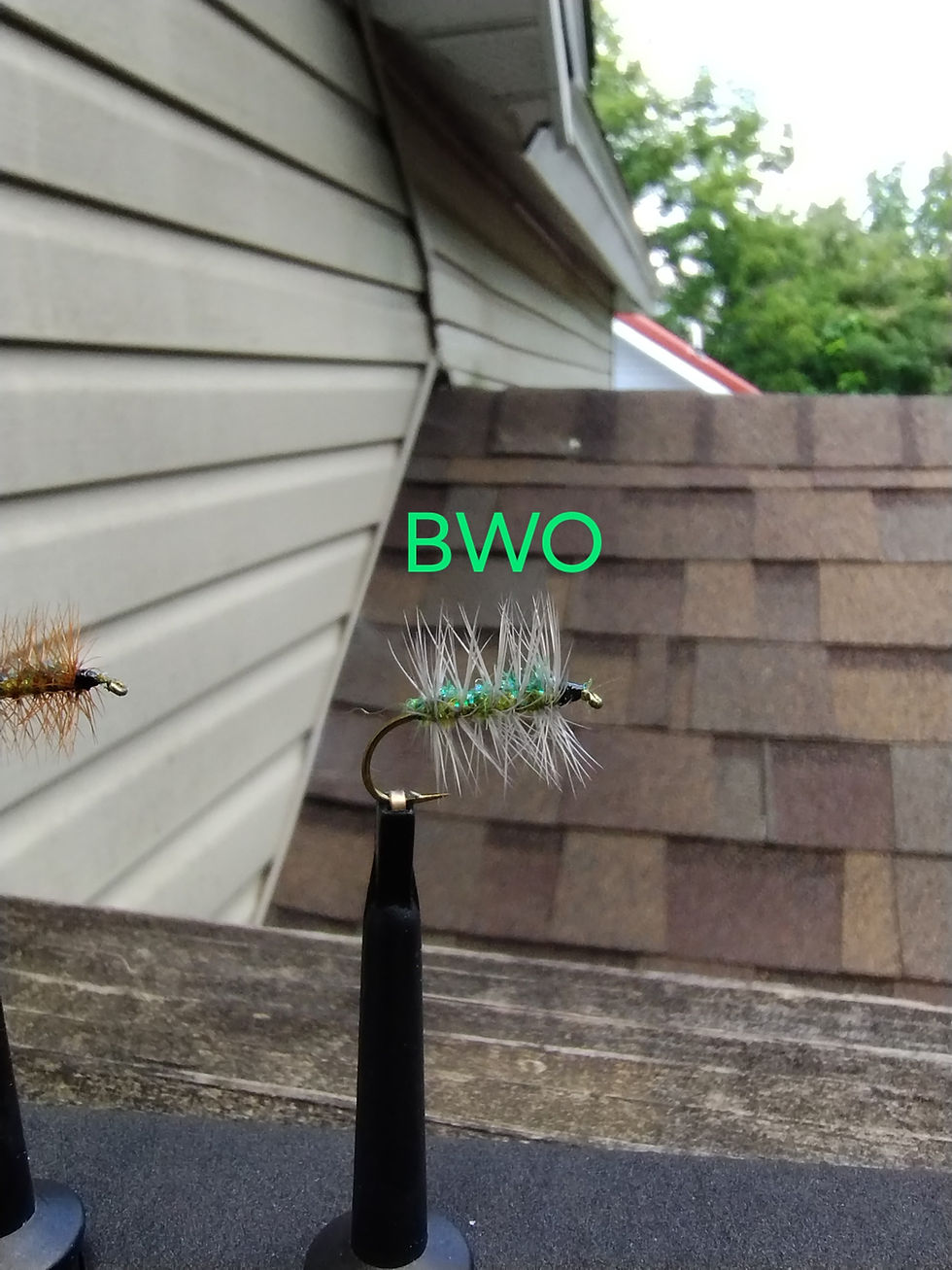 Thumbnail: Roo's Crackleback(Dry/Nymph/Wet/Streamer)