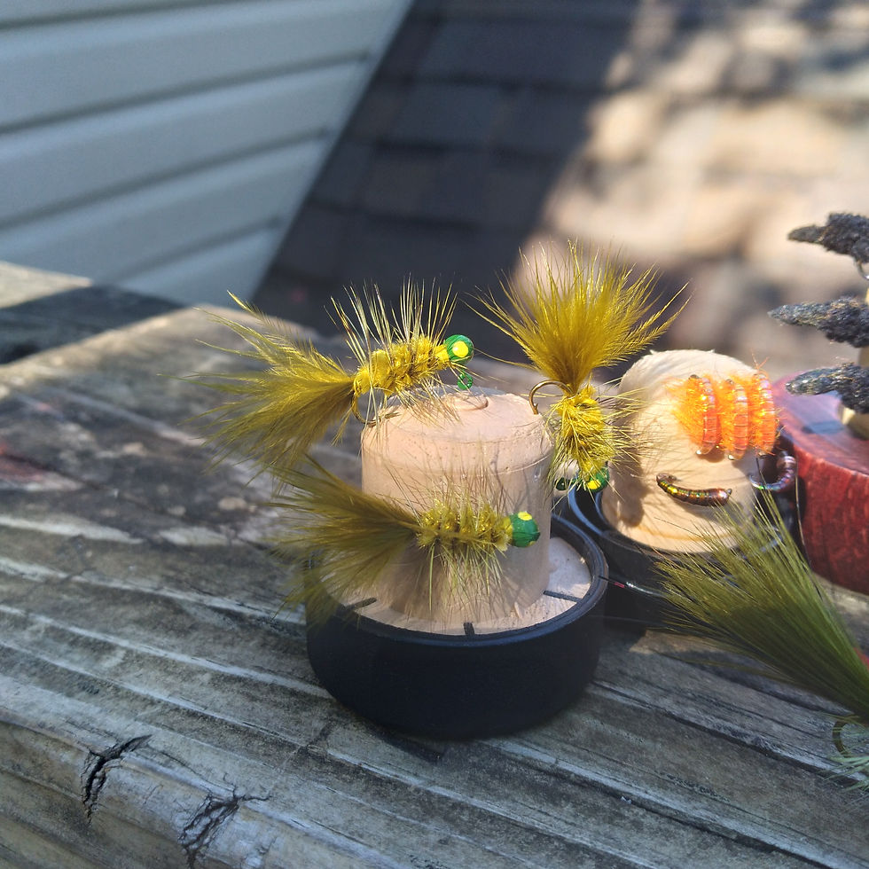 Thumbnail: Tailwaters of Beaver Dam Go To Package