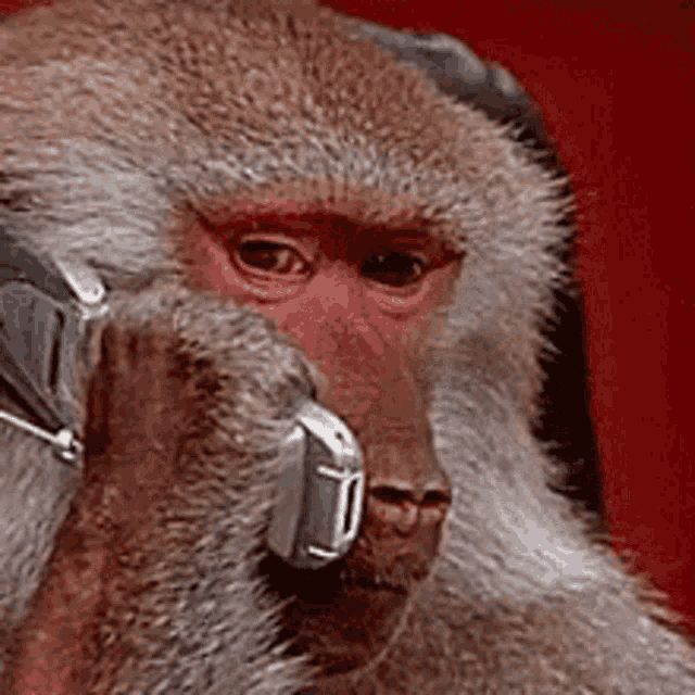 telephone-call.gif