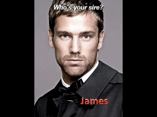 giphy (1)
