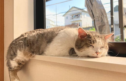 インフォームド・コンセント