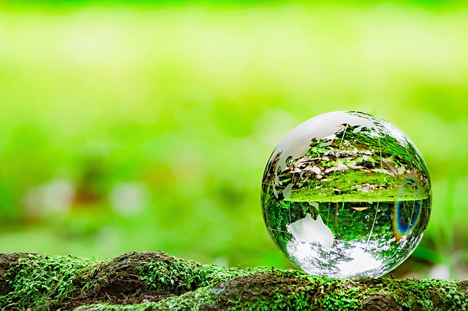 新緑と水晶のボール
