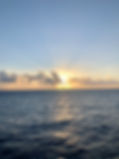 IMG_5339.jpeg